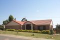 Property photo of 19 Jayef Street Sunnybank Hills QLD 4109