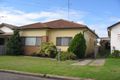 Property photo of 9 Wilkinson Street Mayfield NSW 2304