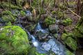 Property photo of 173 Caseys Road Nicholls Rivulet TAS 7112