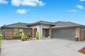 Property photo of 53 Wakool Crescent Woongarrah NSW 2259