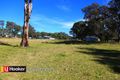 Property photo of 48 Dwyer Road Bringelly NSW 2556