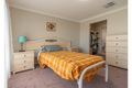 Property photo of 19 Orley Drive Oxley Vale NSW 2340