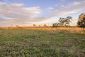 Property photo of 123 Warooby Lane Euthulla QLD 4455