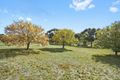 Property photo of 18 Morton Street Glenlyon VIC 3461