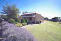 Property photo of 74 Warooka Road Yorketown SA 5576