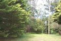 Property photo of 5/17 Wilbar Avenue Cronulla NSW 2230