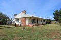 Property photo of 51 Goran Street Curlewis NSW 2381