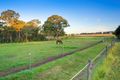Property photo of 45 Whipbird Road Pheasants Nest NSW 2574