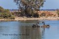 Property photo of 62 Kiap Road South Yunderup WA 6208