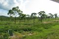 Property photo of 170 Africandar Road Bowen QLD 4805