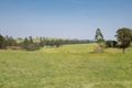 Property photo of 343 Elderslie Road Branxton NSW 2335
