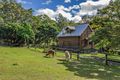Property photo of 13 Asher Court Upper Coomera QLD 4209