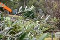 Property photo of 438 Strickland Avenue South Hobart TAS 7004
