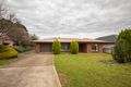 Property photo of 78A Butler Terrace Naracoorte SA 5271