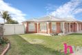 Property photo of 23 Mayfield Crescent St Albans Park VIC 3219