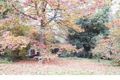 Property photo of 14 Olinda-Monbulk Road Olinda VIC 3788