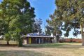 Property photo of 12 Freeman Road Red Cliffs VIC 3496