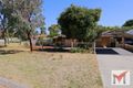Property photo of 1/7 Honeysett Court Hamilton Hill WA 6163
