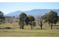 Property photo of 41 Robert Hoddle Grove Bombira NSW 2850