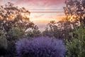 Property photo of 2 Sunset Crescent Kalamunda WA 6076
