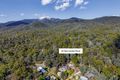 Property photo of 20 Warrambat Road Sawmill Settlement VIC 3723