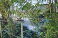 Property photo of 1105C/18 O'Dea Avenue Waterloo NSW 2017