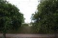 Property photo of 67 Southern Avenue Pasadena SA 5042