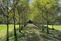 Property photo of 1 Main Road Weldborough TAS 7264