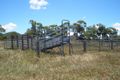 Property photo of 696 Coowonga Road Coowonga QLD 4702