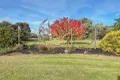 Property photo of 24 Suttie Drive Swan Hill VIC 3585