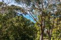 Property photo of 79 Charles Street Lorne VIC 3232