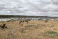 Property photo of 33 Spoonbill Court Mannum SA 5238