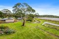 Property photo of 11516 Southern Ports Highway Millicent SA 5280