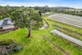 Property photo of 11516 Southern Ports Highway Millicent SA 5280