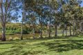 Property photo of 19 Fitzgibbon Street North Ipswich QLD 4305