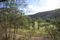 Property photo of 212 Wollombi Road St Albans NSW 2775