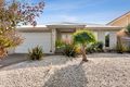 Property photo of 45 McGowan Drive Skye VIC 3977