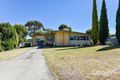 Property photo of 31 Aitchison Avenue Naracoorte SA 5271