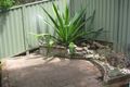 Property photo of 2/38 Bent Street Neutral Bay NSW 2089