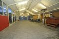 Property photo of 4 Sandalwood Grove Woodcroft SA 5162