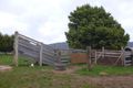 Property photo of 36118 Tasman Highway Springfield TAS 7260