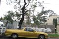 Property photo of 3 Stone Street Brighton East VIC 3187