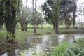 Property photo of 85 Tablelands Road Cooran QLD 4569