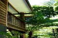 Property photo of 43 Williamson Drive Kuranda QLD 4881