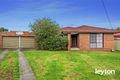 Property photo of 3 Jeffrey Court Clayton South VIC 3169