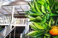 Property photo of 24 Grants Gully Road Clarendon SA 5157