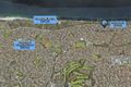 Property photo of 41 Bacchante Circle Ocean Reef WA 6027
