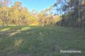 Property photo of 911 Euluma Creek Road Julatten QLD 4871