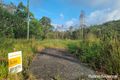Property photo of 911 Euluma Creek Road Julatten QLD 4871