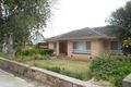 Property photo of 39 Rosella Street Payneham SA 5070